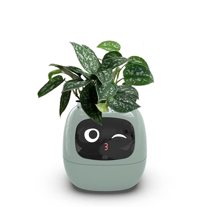 Itigoitie Smart Flowerpots, Smart Pet Planter, Ai Planter, Intelligent Flowerpots, Multiple Expressions, 7 Smart Sensors, and Ai Chips Make Raising Plants Easy and Fun for Living Room,Plant-Free (Green)