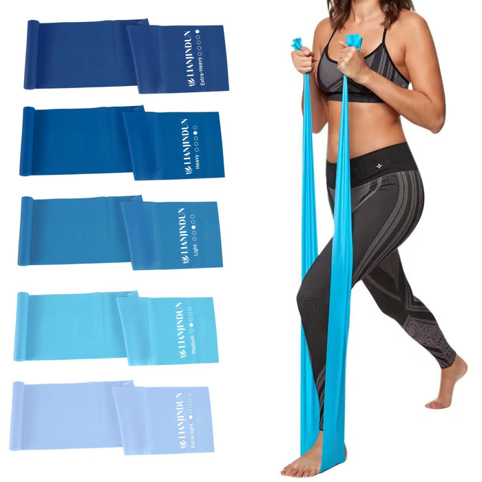 Lianjindun 5 Pcs Professional Resistance Bands. Latex-Free, Elastic Band, Work Out Bands, Stretch Bands for Working Out Women or Men, Exercise Bands Set for Physical Therapy, Yoga, Pilates