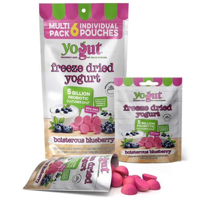 YoGut Freeze Dried Yogurt Snack, Blueberry, 6 Pack, Healthy Snacks for Kids, Toddlers & Adults, Gluten Free, Non GMO, With 5 Billion Live Probiotics, Vitamins & Minerals, Individual Snack Packs