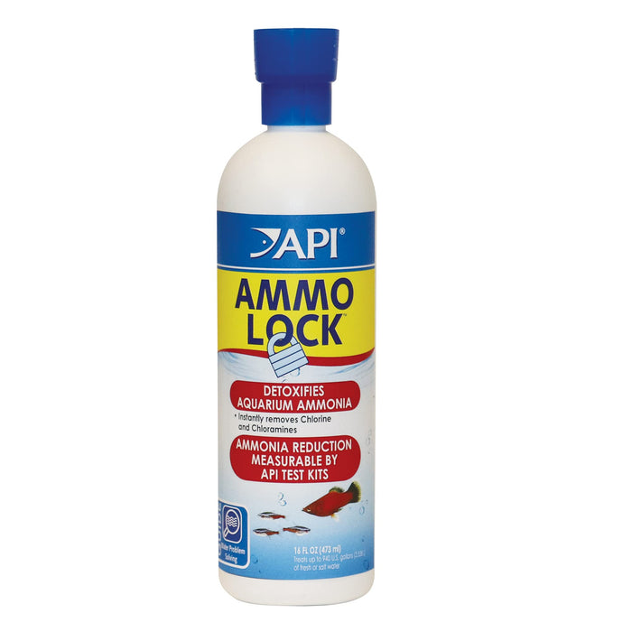 API Ammo Lock Freshwater and Saltwater Aquarium Ammonia Detoxifier 16-Ounce Bottle