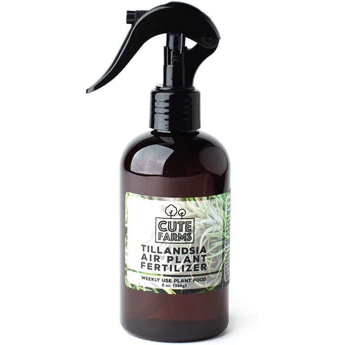 Cute Farms Tillandsia Air Plant Fertilizer | Gentle Weekly Use Formula Plant Food with Care Guide | Formulated Nutrients (8 oz. Spray Bottle)