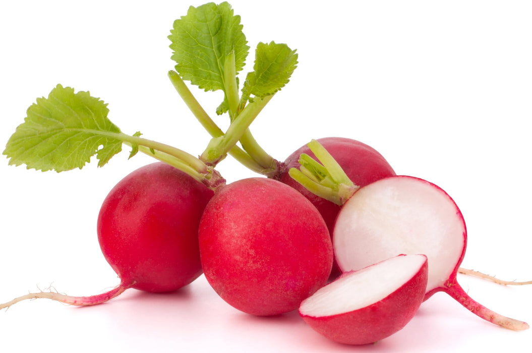 RDR Seeds 500 Cherry Belle Radish Seeds | USA Grown, Non-GMO, Heirloom | Fast-Growing, Sweet & Crisp | Harvest in 25 Days | Spring Vegetable for Gardeners of All Levels