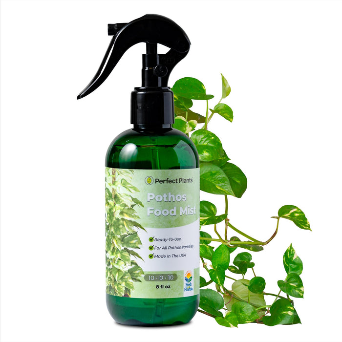 Perfect Plants Pothos Spray Fertilizer by Perfect Plants | Liquid Plant Food for Potted Indoor Pothos | Foliage Growth Booster Balanced Phosphorus Free NPK Ratio (8 fl oz)