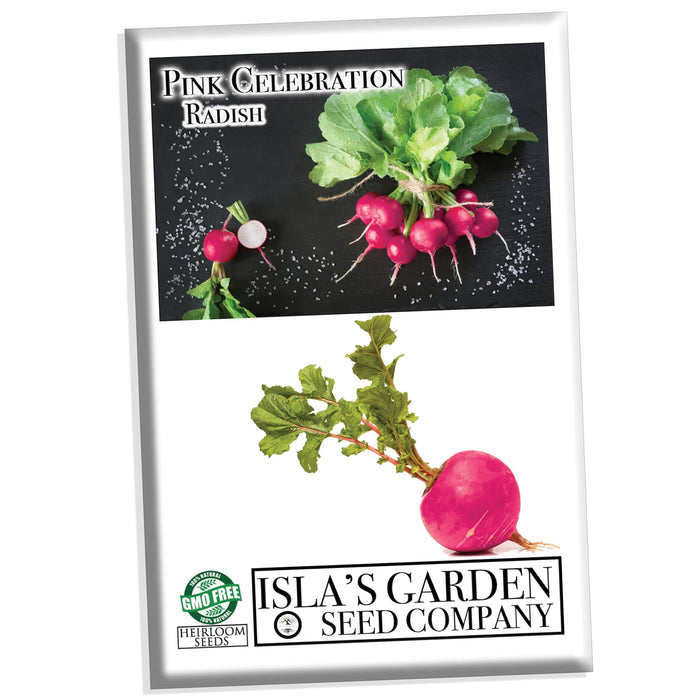 Isla's Garden Seeds Pink Celebration Radish Seeds, 100+ Heirloom Seeds Per Packet, (Isla's Garden Seeds), Non GMO Seeds, Botanical Name: Raphanus sativus