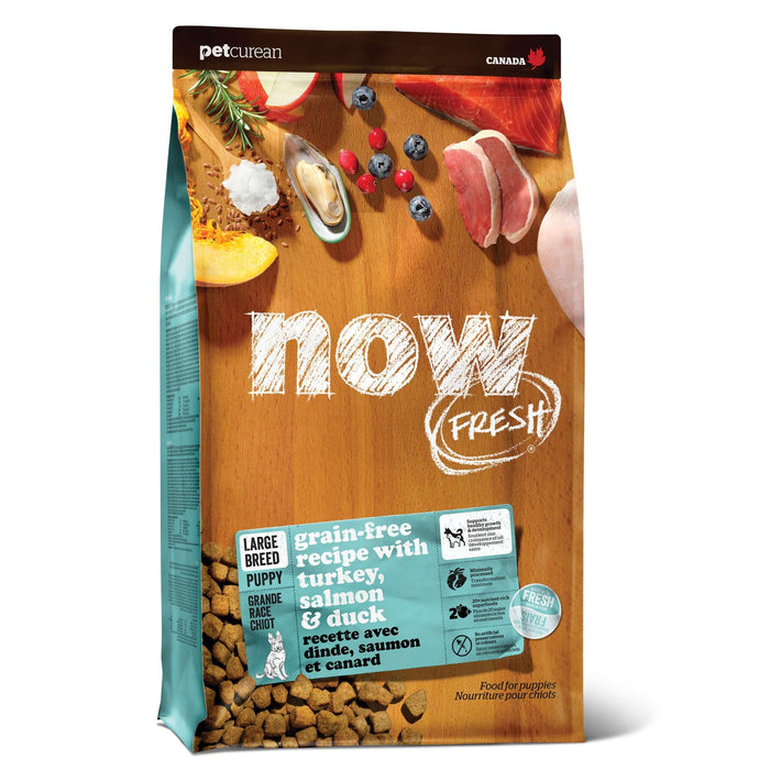 Now Fresh Grain-Free, Dry Dog Food, Real Meat and Fish, Turkey, Salmon and Duck Large Breed Puppy Recipe, 12 lb Bag