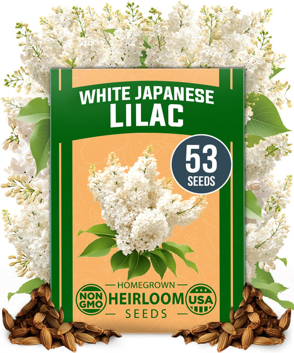 HOME GROWN 53 White Lilac Flower Seeds Non-GMO, USA Heirloom Tree Seeds for Planting, Fragrant Flowering Tree Seeds for Landscaping, Pollinator Gardens, and Ornamental Borders (Syringa reticulata)