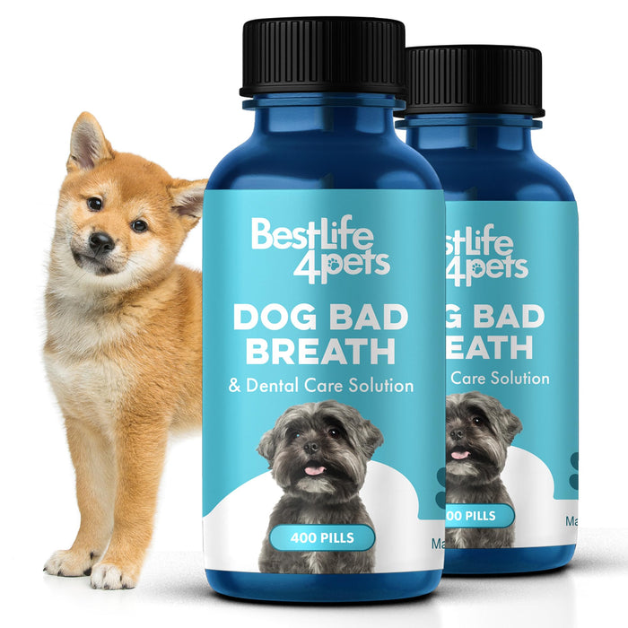 Dog Dental Care & Bad Breath Remedy, Natural Dog Oral Care for Healthy Teeth, Mouth & Gums, Daily Canine Breath Freshener, Plaque, Tartar Control Helps Reduce Gingivitis, Easy to Use 800 Tiny Pills
