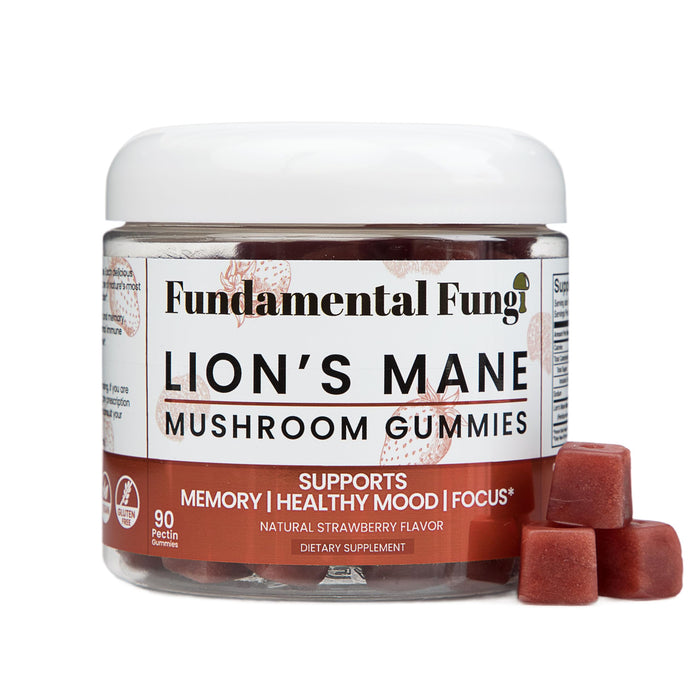 Fundamental Fungi Organic Lion's Mane Mushroom Gummies | 90 Servings | Brain Health, Focus, Clarity, & Memory Mushroom Supplement Gummies | 90 Organic Lions Mane Gummies for Adults