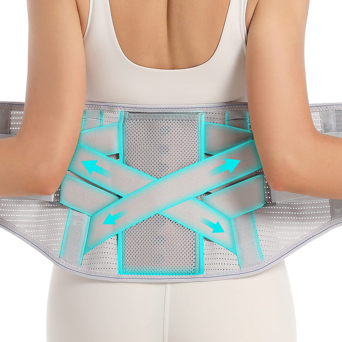EGJoey Back Brace for Lower Back Pain Relief - Back Support Belt for Women & Men for Herniated Disc, Sciatica. Removable Stays with 2 Different Hardness Sets (Grey, Large)