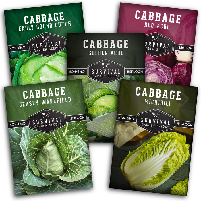 Survival Garden Seeds Cabbage Collection Seed Vault - 5 Non-GMO Heirloom Varieties - Red Acre, Golden Acres, Jersey Wakefield, Early Round Dutch & Michihili (Napa) - Plant & Grow Your Own Vegetables