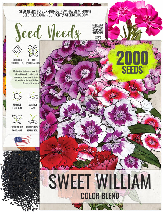 Seed Needs Sweet William Seeds for Planting Dianthus Flowers - Heirloom & Open Pollinated Annual Wildflower Seed Mix to Attract Butterflies, Bees & Other Pollinators to a Butterfly Garden (1 Pack)